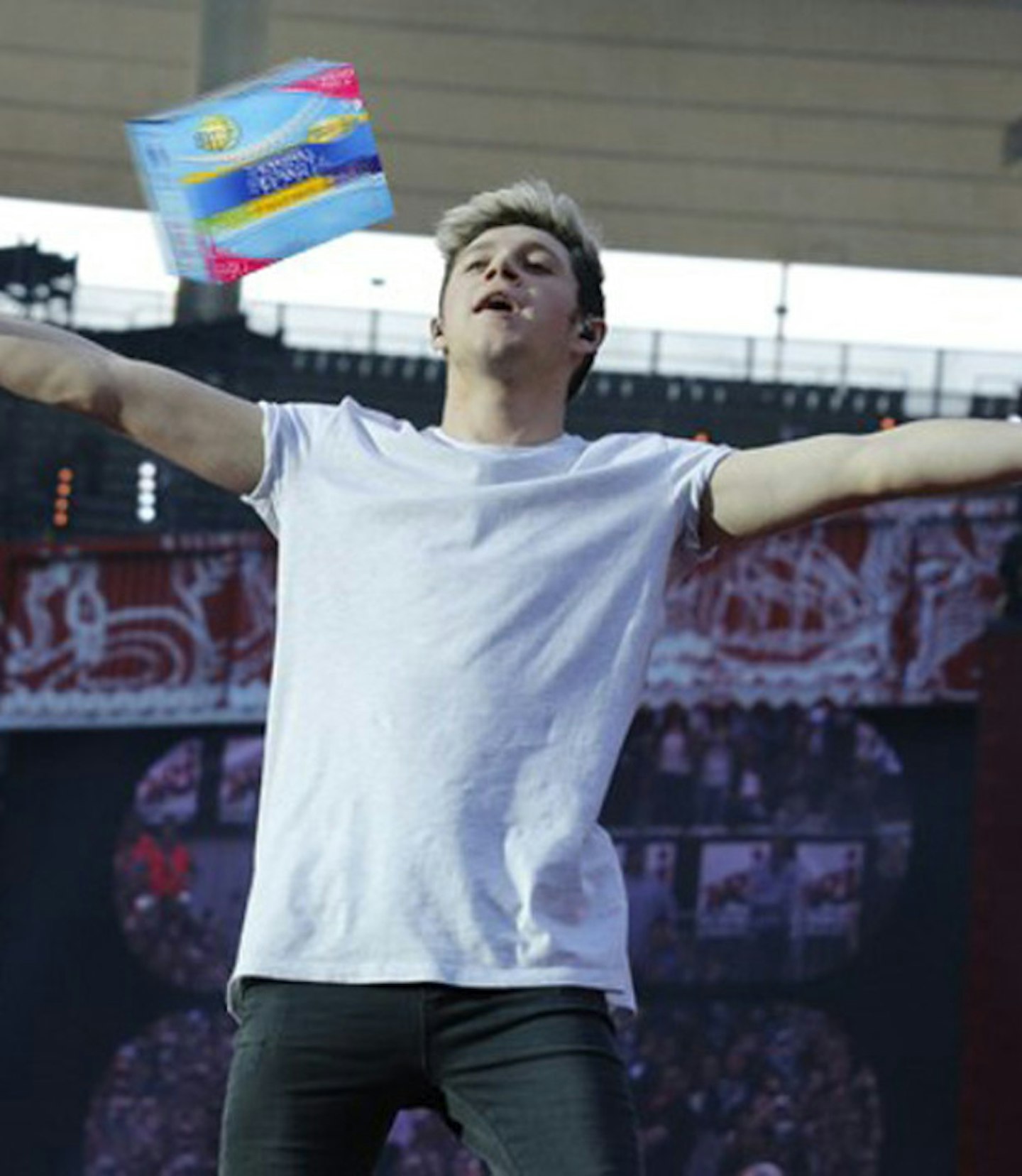 niall-horan-TAMPONS