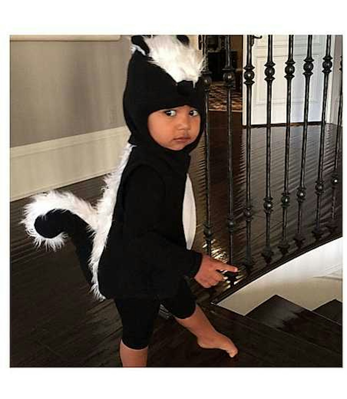 North West as a skunk