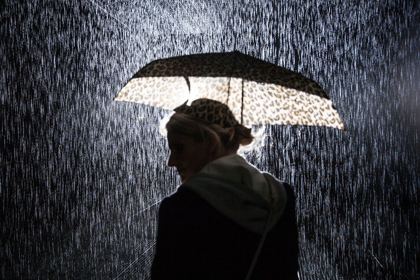 woman, rain, umbrella