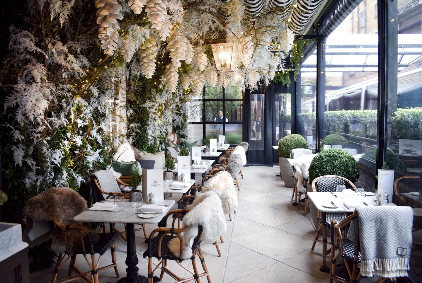 winter pop-ups