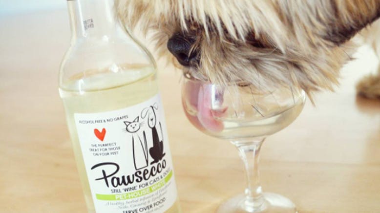 Pawsecco amazon outlet