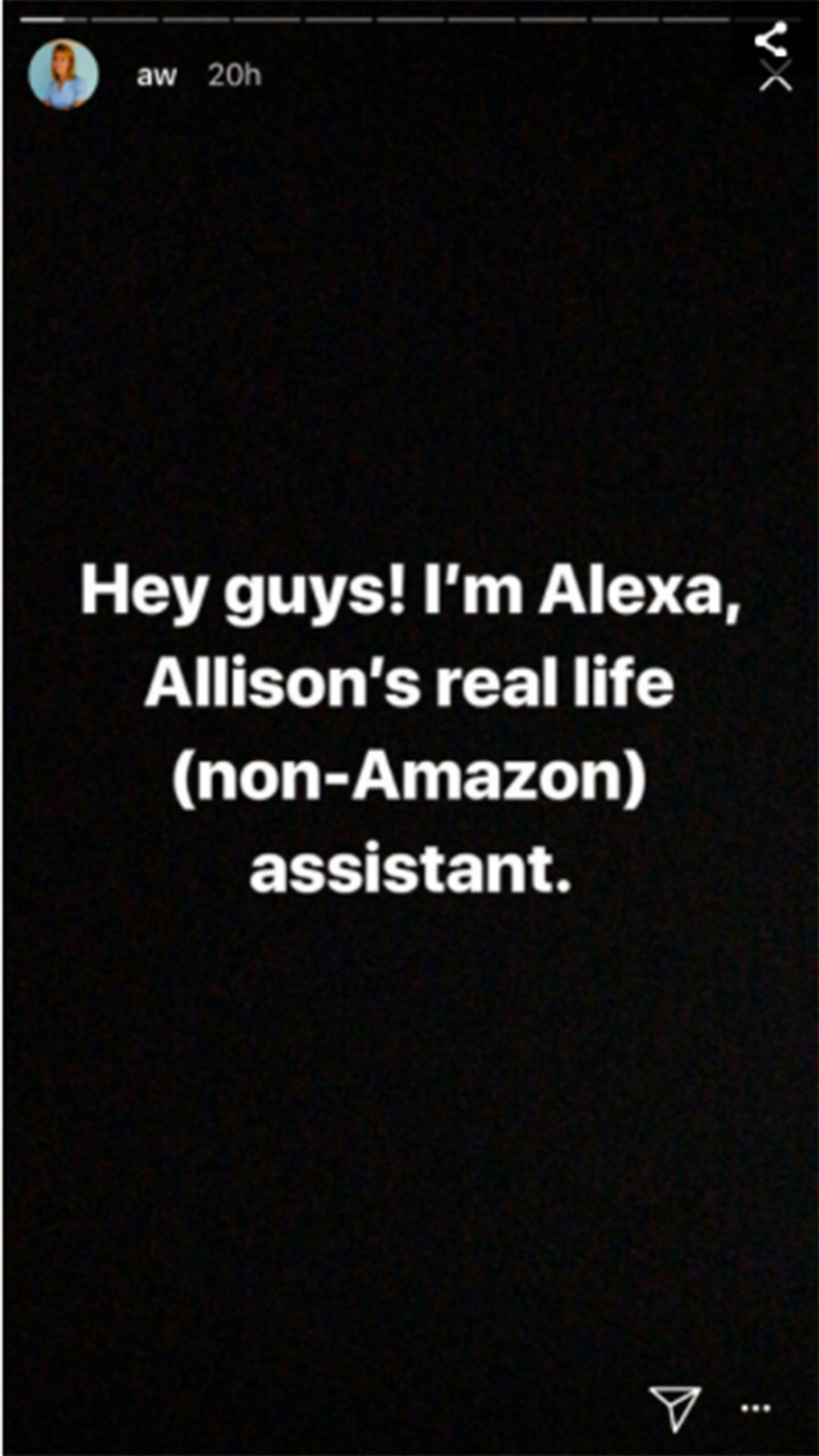 Allison Williams' Assistant Has Been Trolling Her On Instagram
