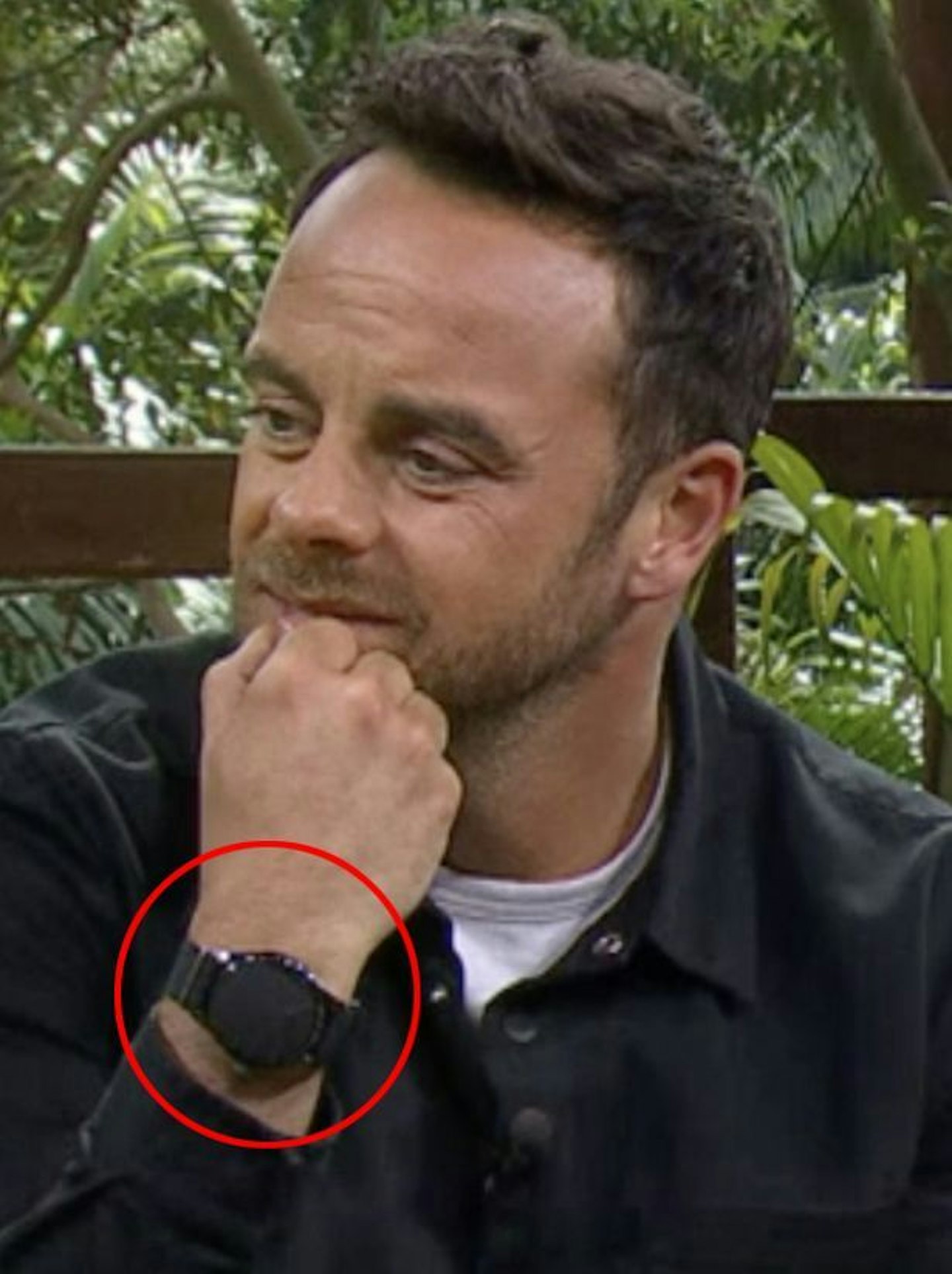 Ant McPartlin