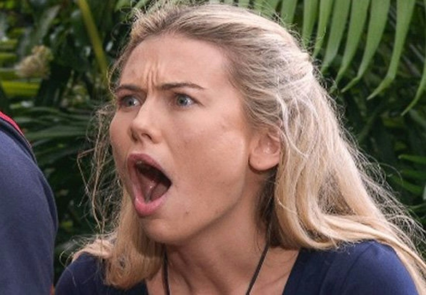 Georgia Toffolo I'm A Celebrity Get... Get Me Out of Here! Made In Chelsea