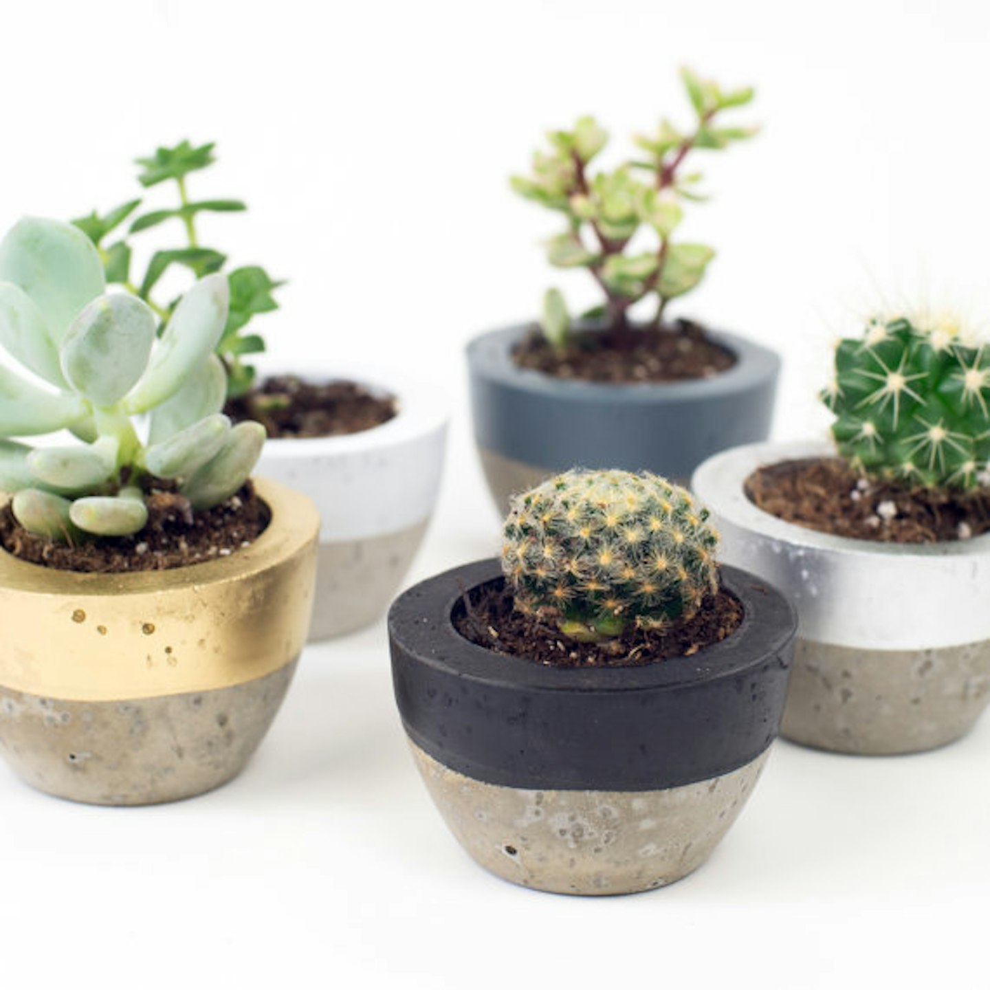 Cool Plant Pots
