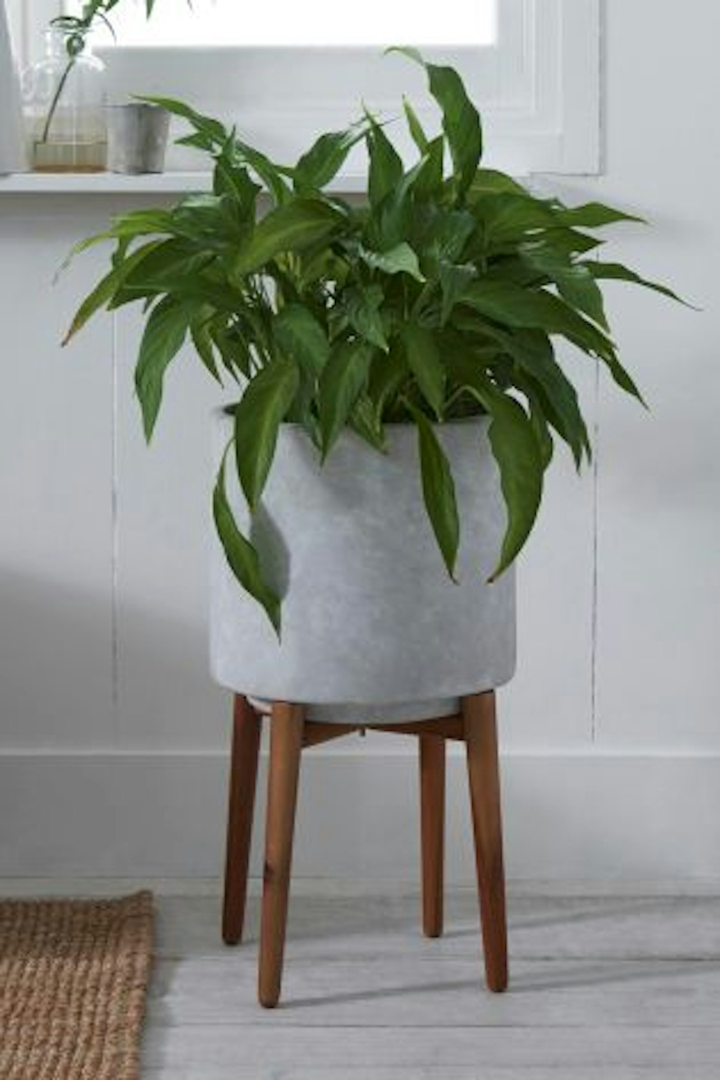 Cool Plant Pots