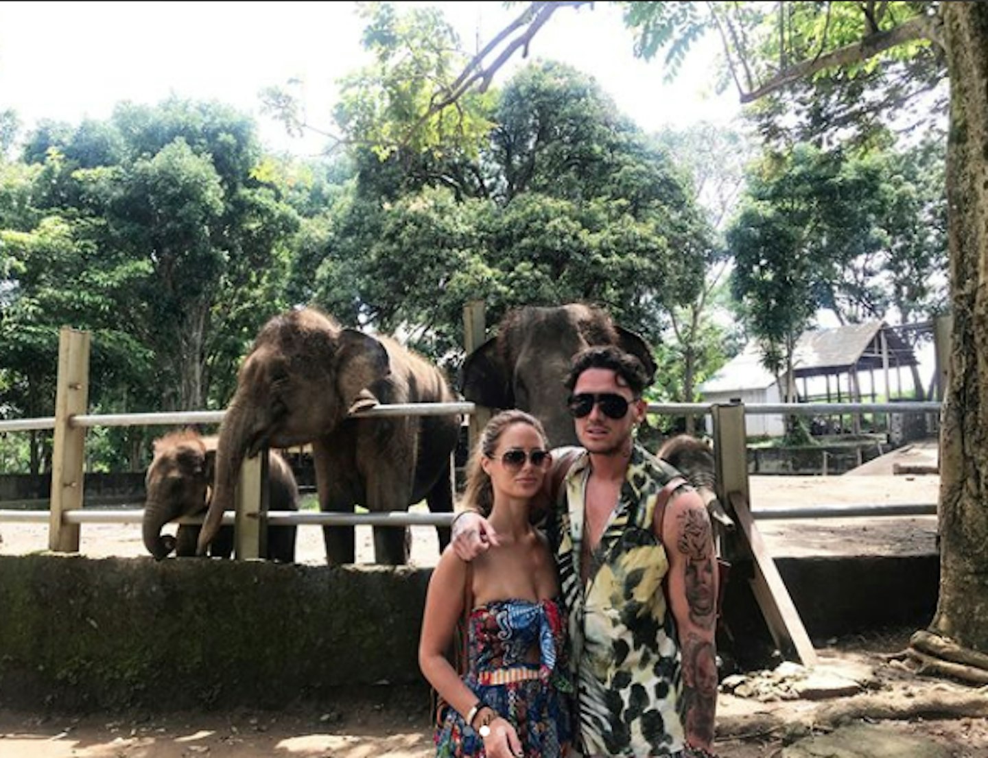 Stephen Bear