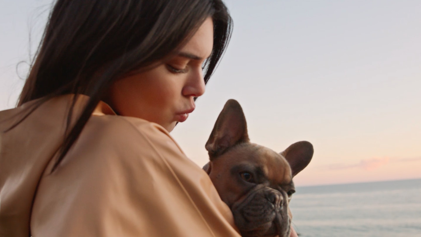 How Kendall Jenner Trains A Dog Is Worth Watching