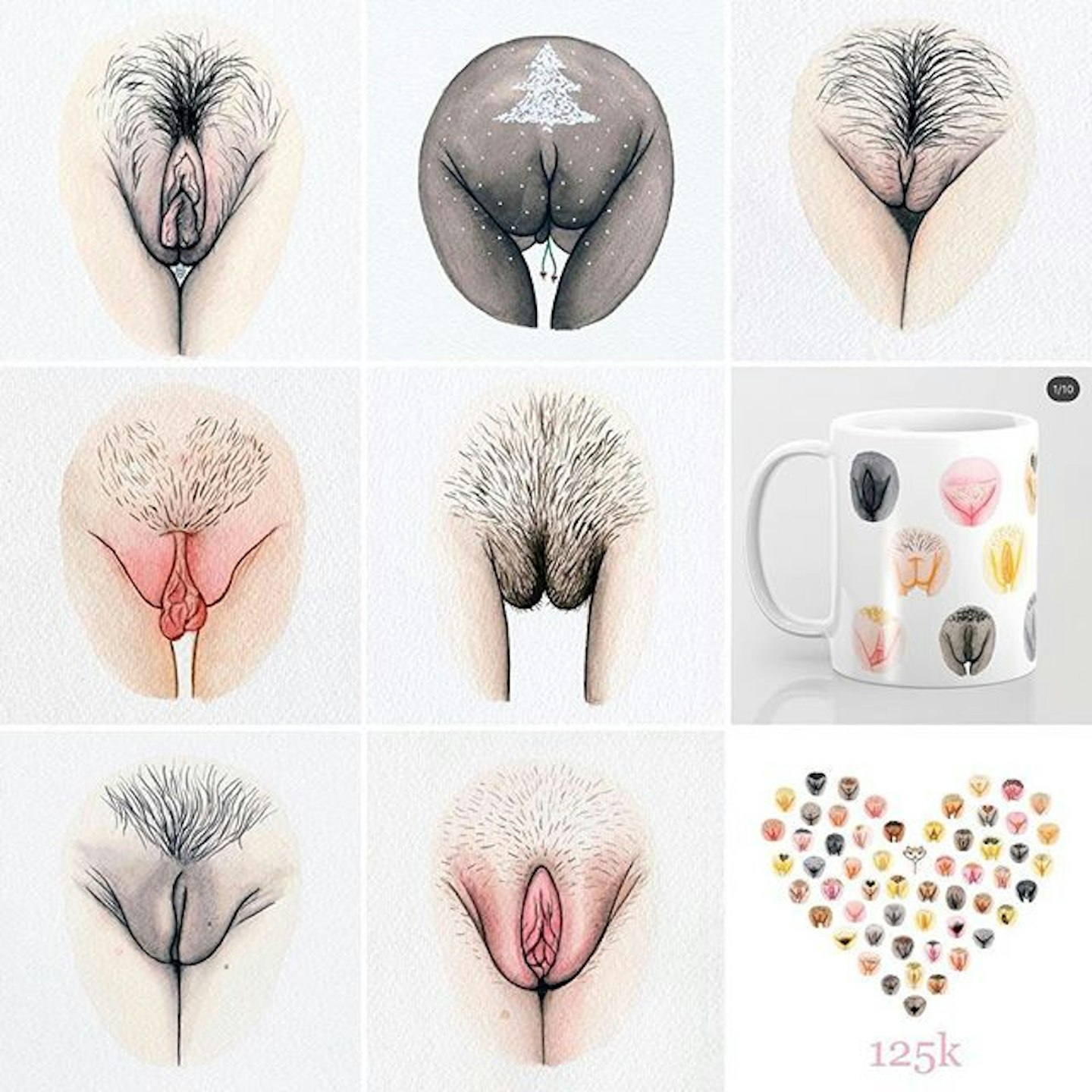 Vulva Gallery