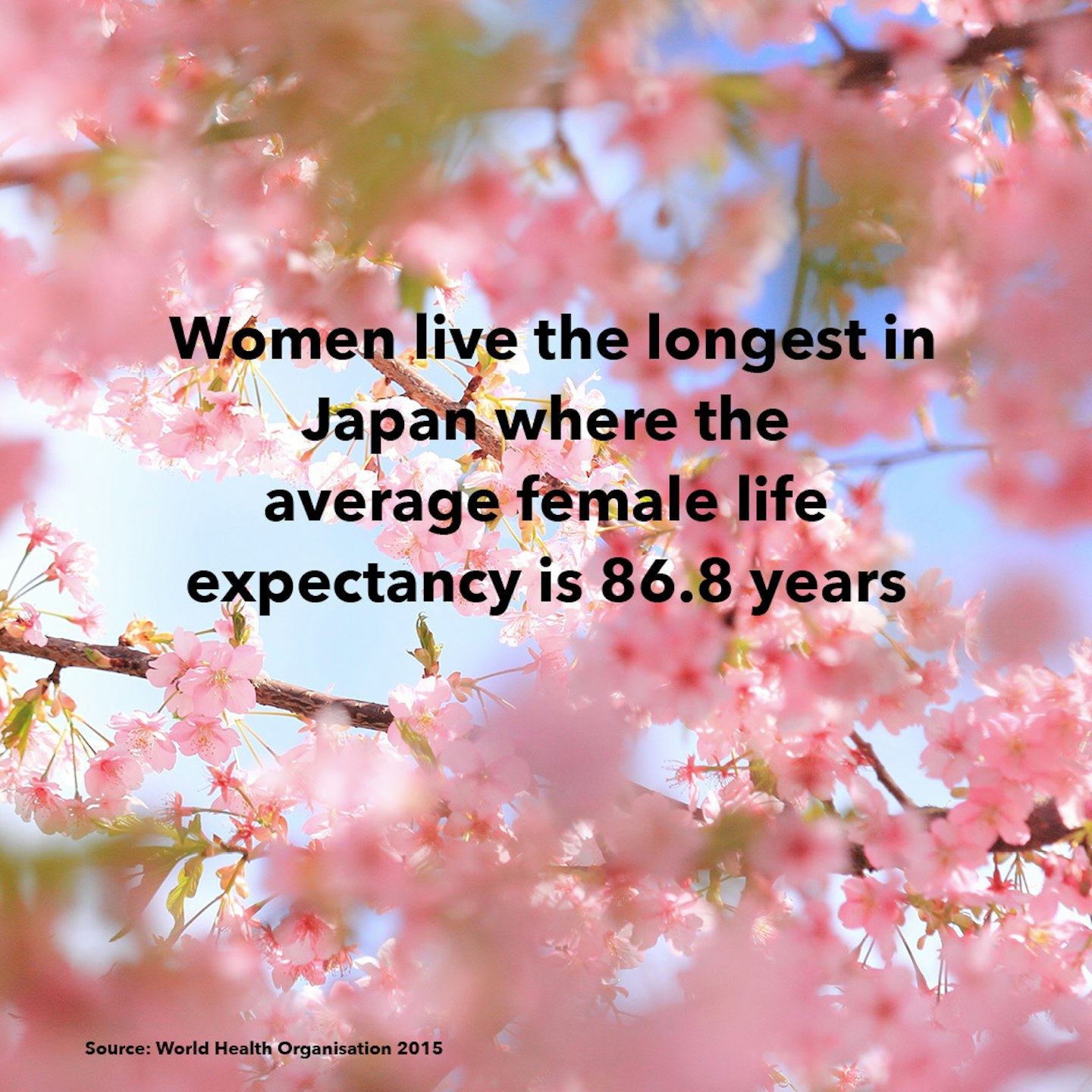 Facts about women around the world