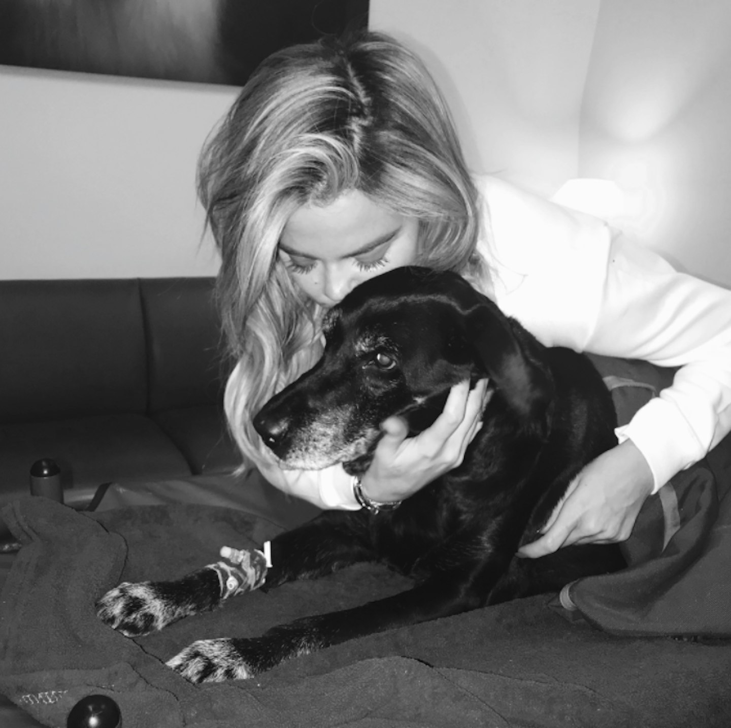 Khloe Kardashian dog Gabbana