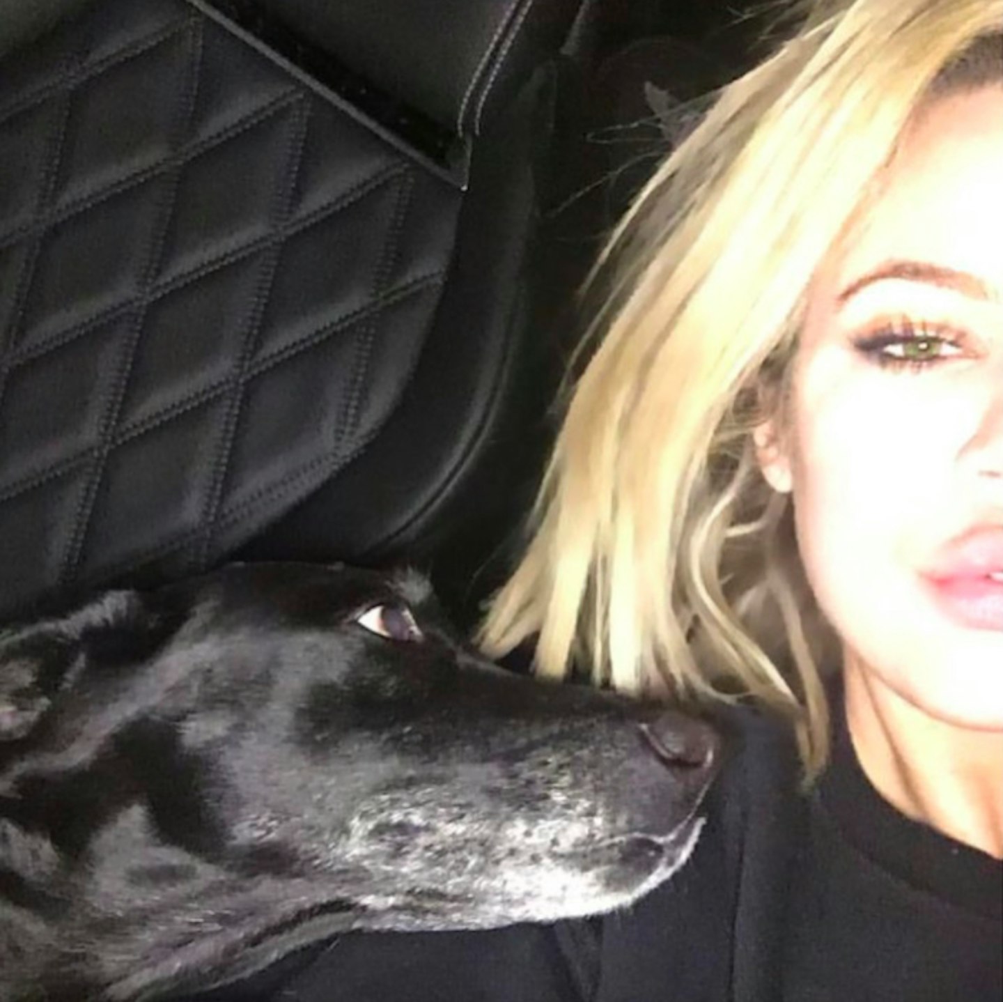 Khloe Kardashian dog Gabbana