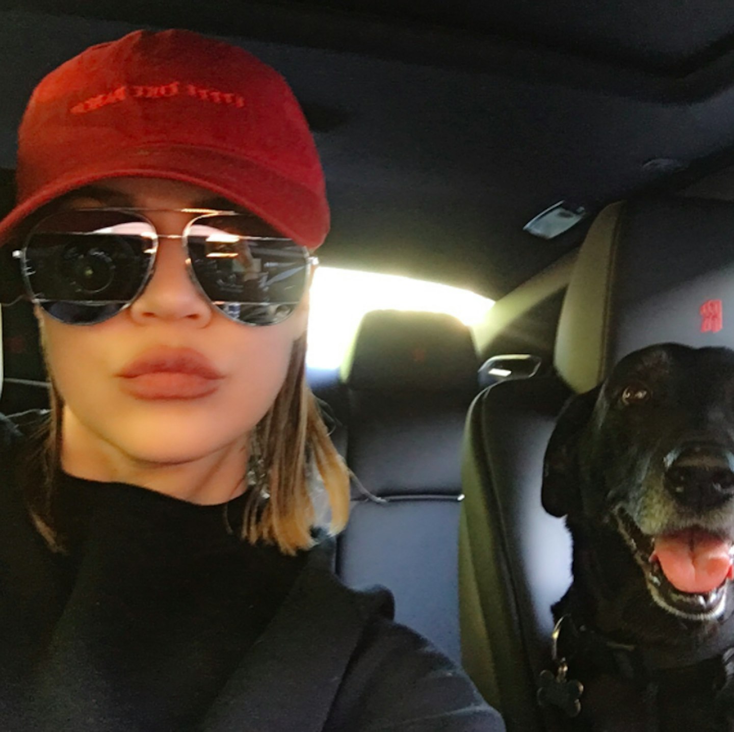 Khloe Kardashian dog Gabbana