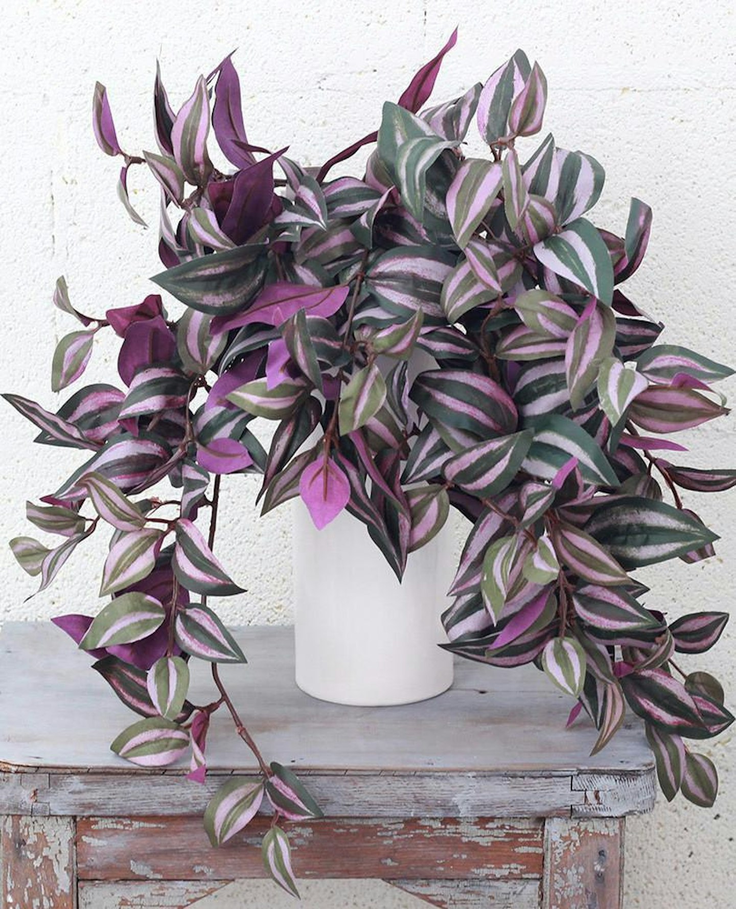 Best Houseplants For Hanging Baskets