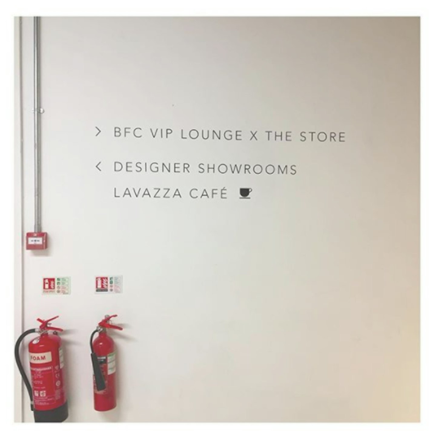 The Store