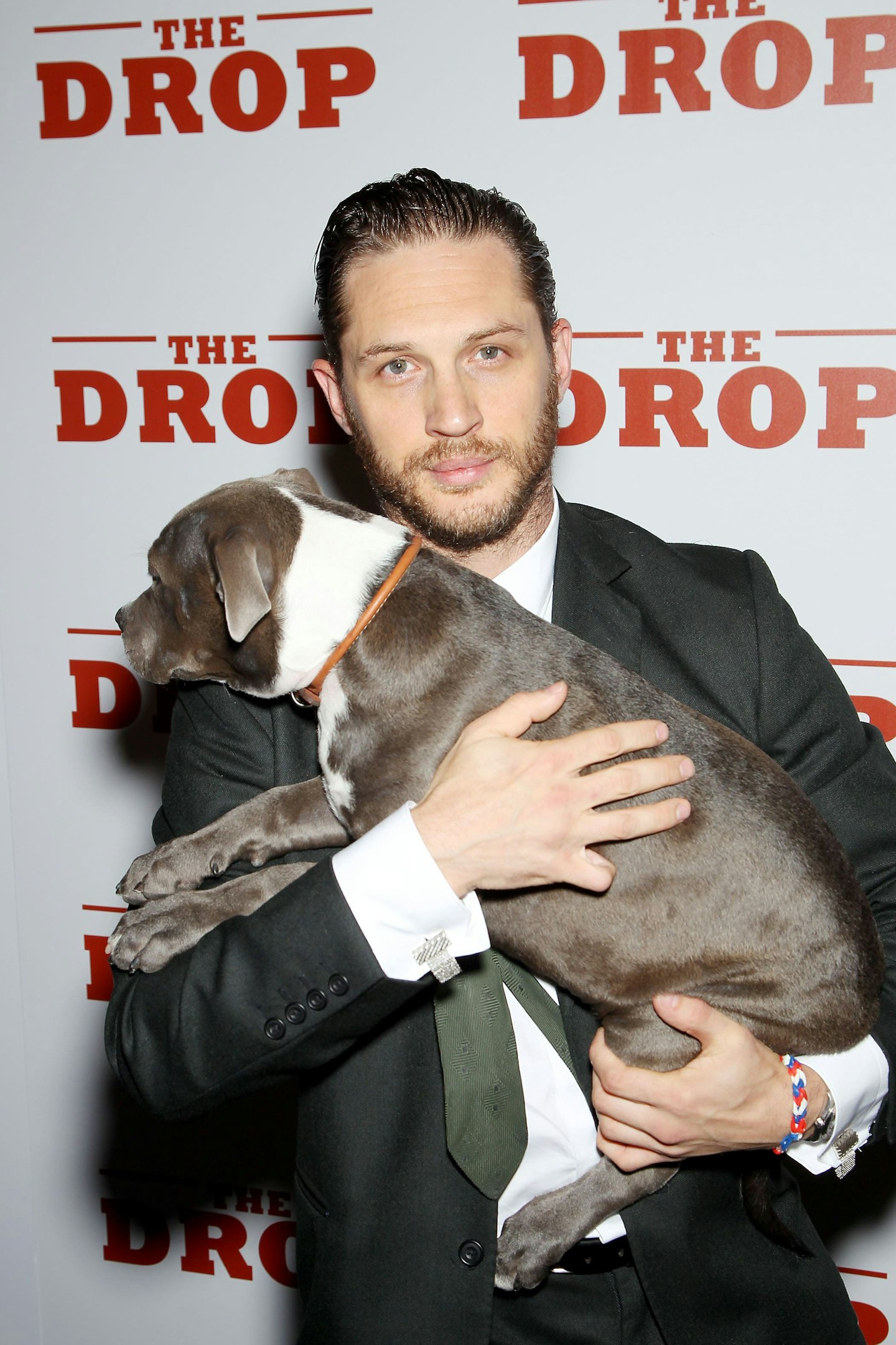tom-hardy-pictures-gallery-dog