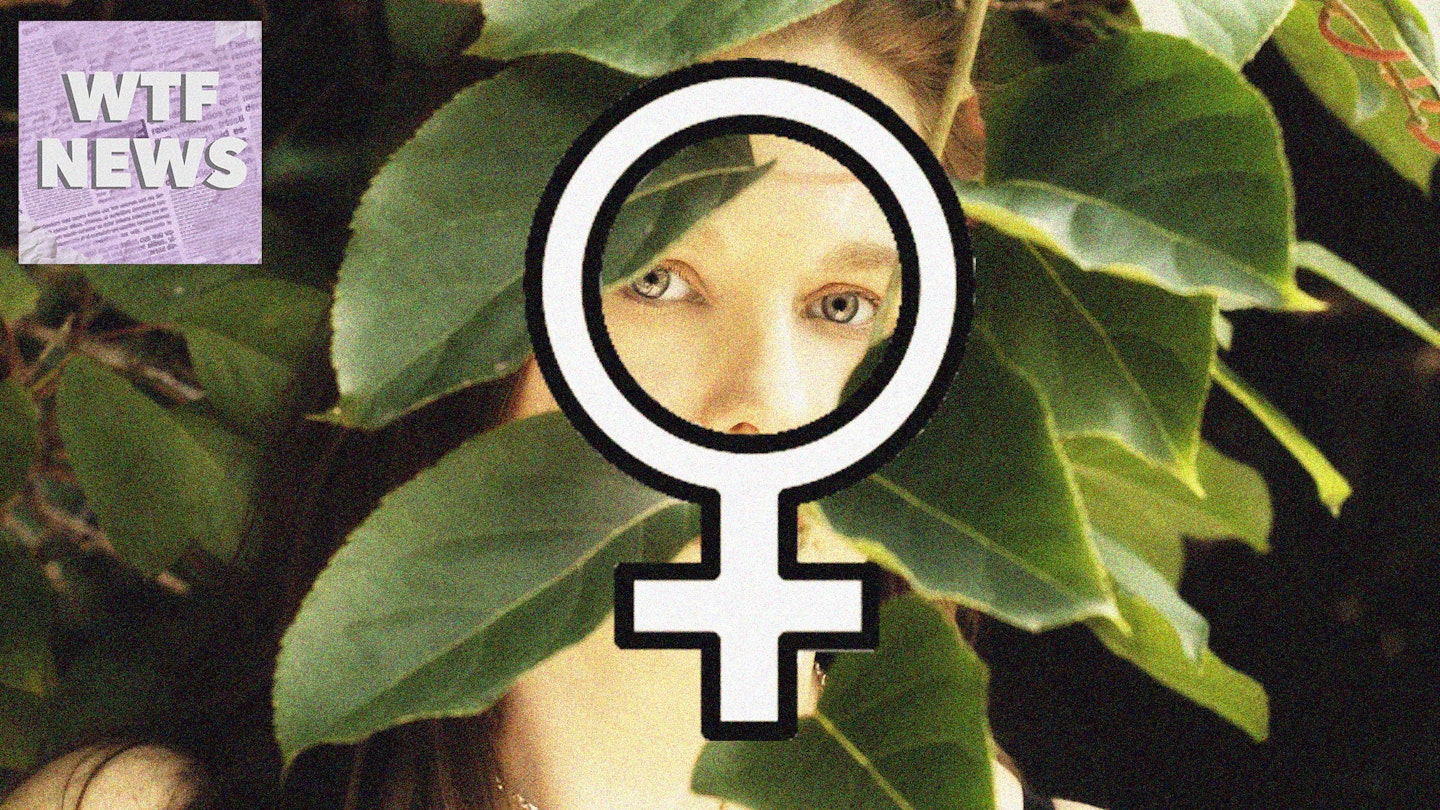 WTF Exactly Is An Ecofeminist And Should You Be One?