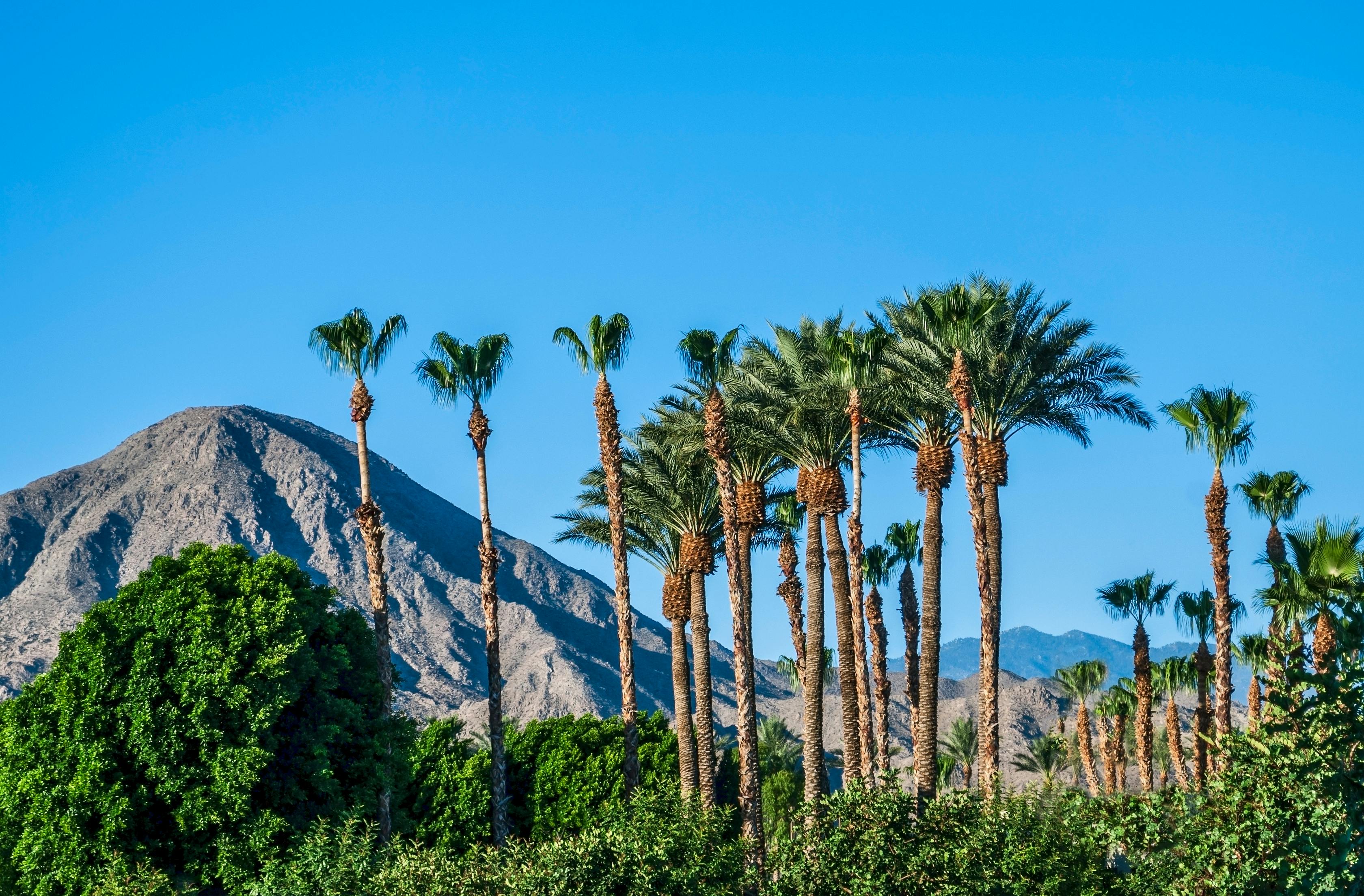 Your Pre-Coachella Guide To Palm Springs