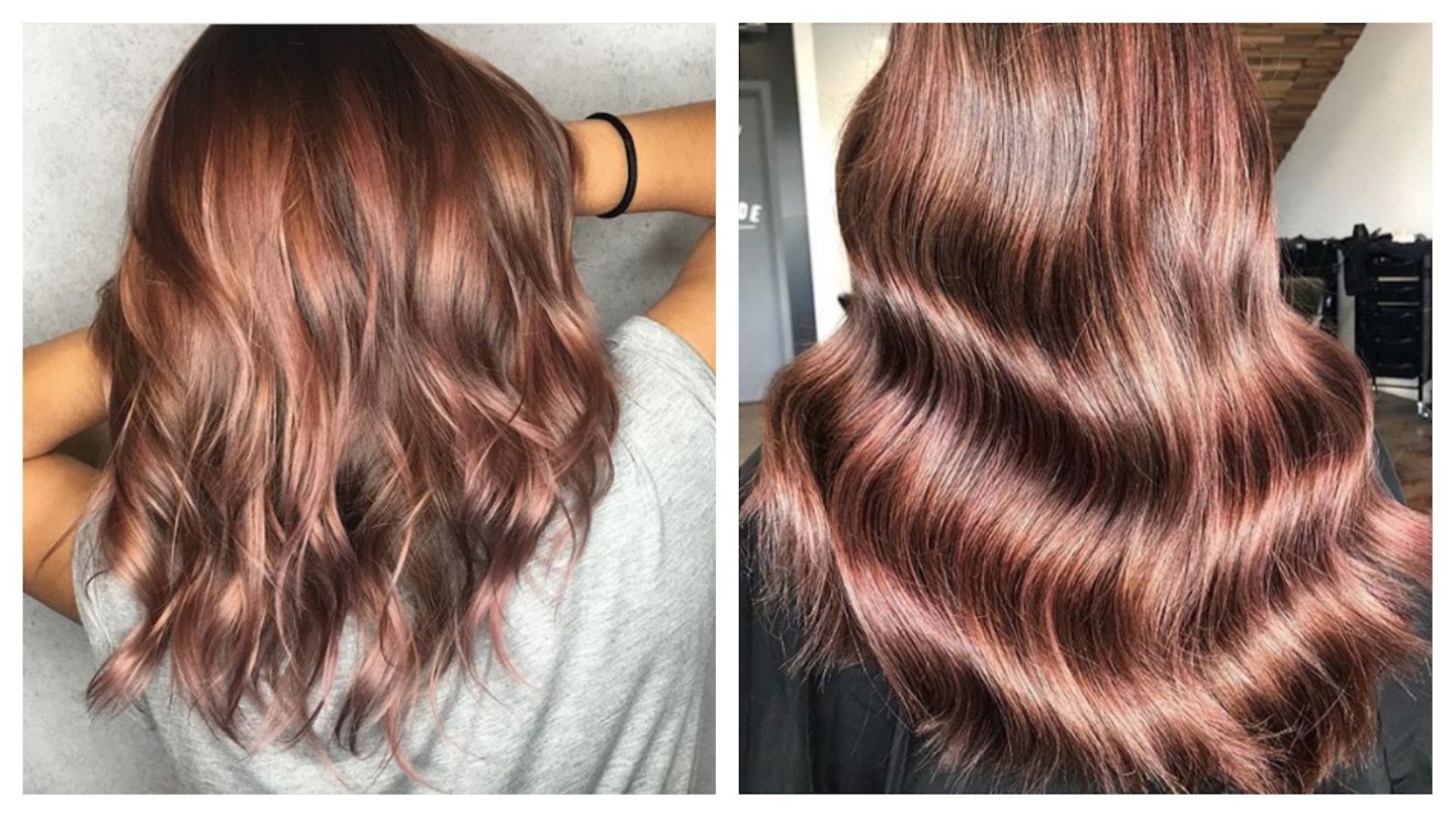 Rose Brown Hair Trend