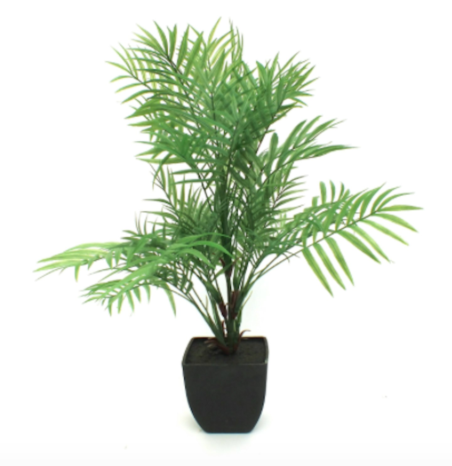 Best Artificial Houseplants