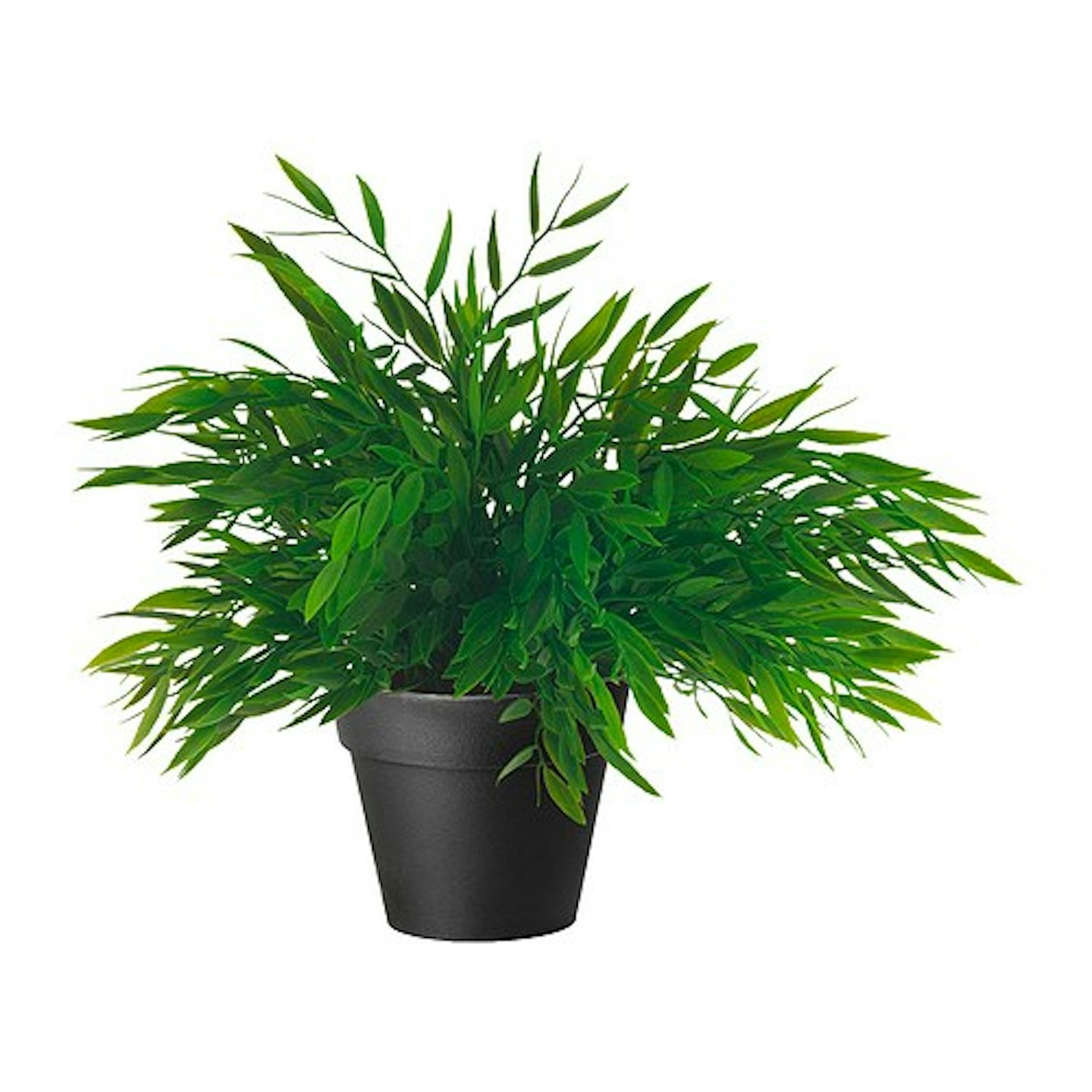 Best Artificial Houseplants