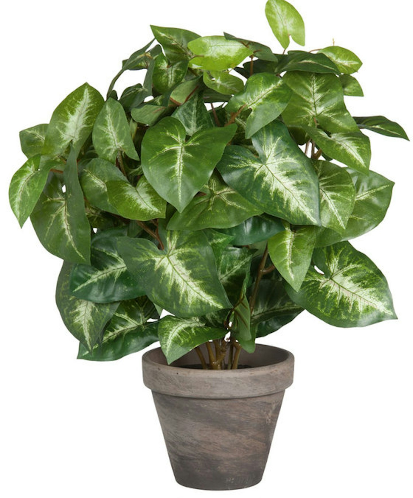 Best Artificial Houseplants