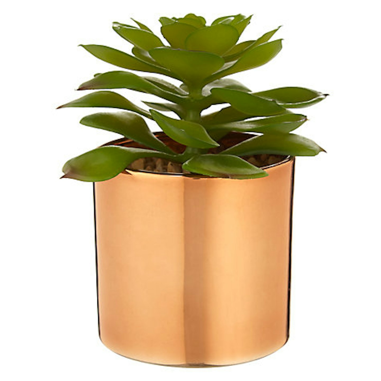 Best Artificial Houseplants