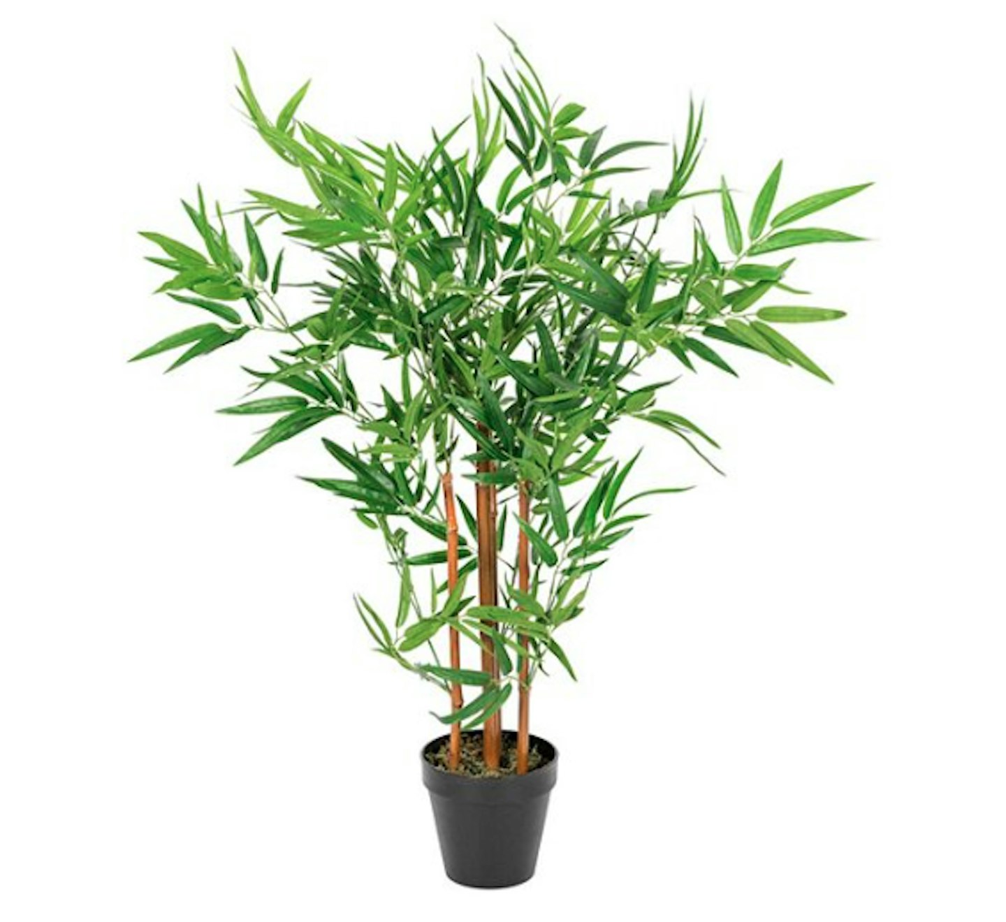 Best Artificial Houseplants