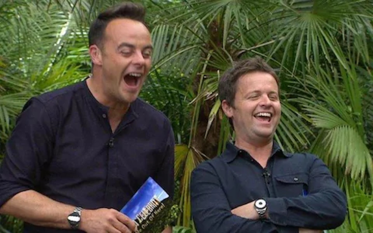 im a celeb