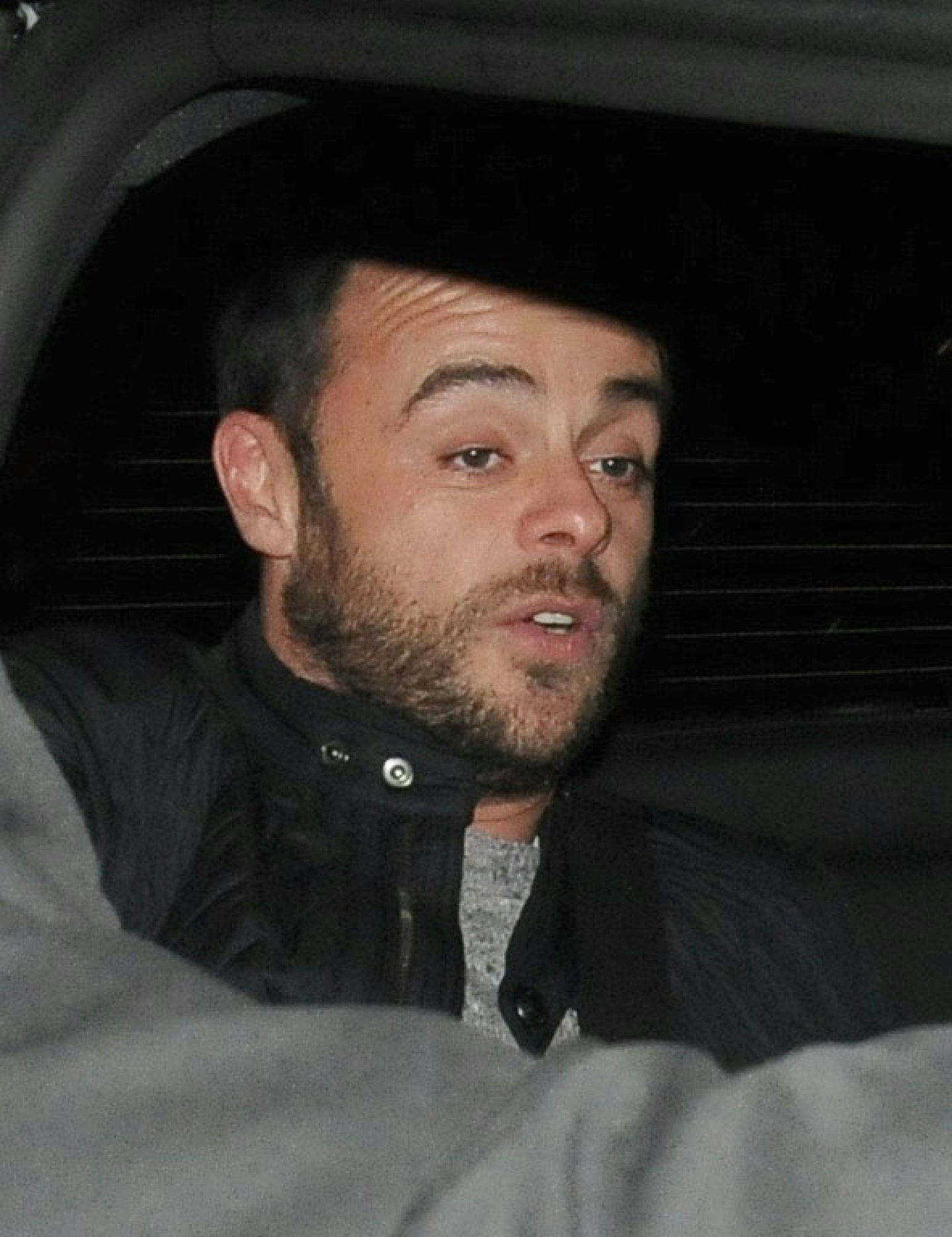 Ant McPartlin
