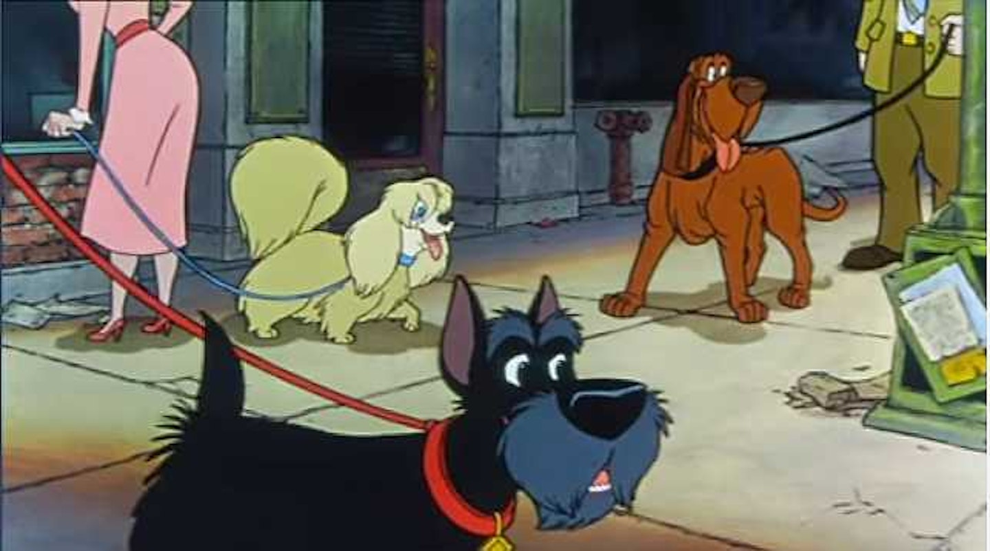 Oliver and Company Lady and the Tramp