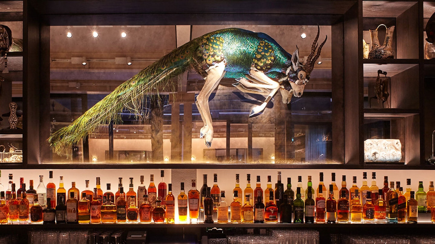 the mandrake bar