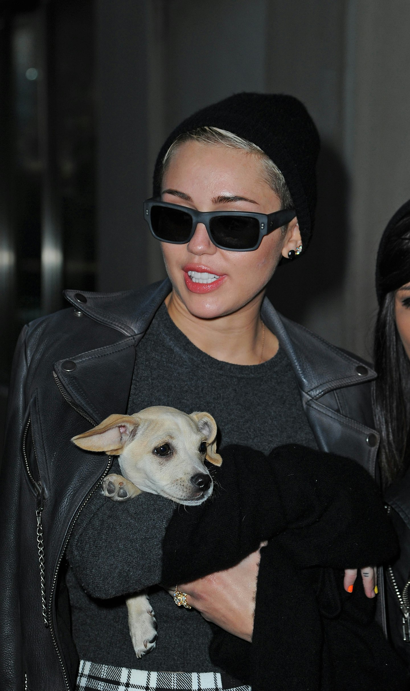 celebrity pets cute miley cyrus