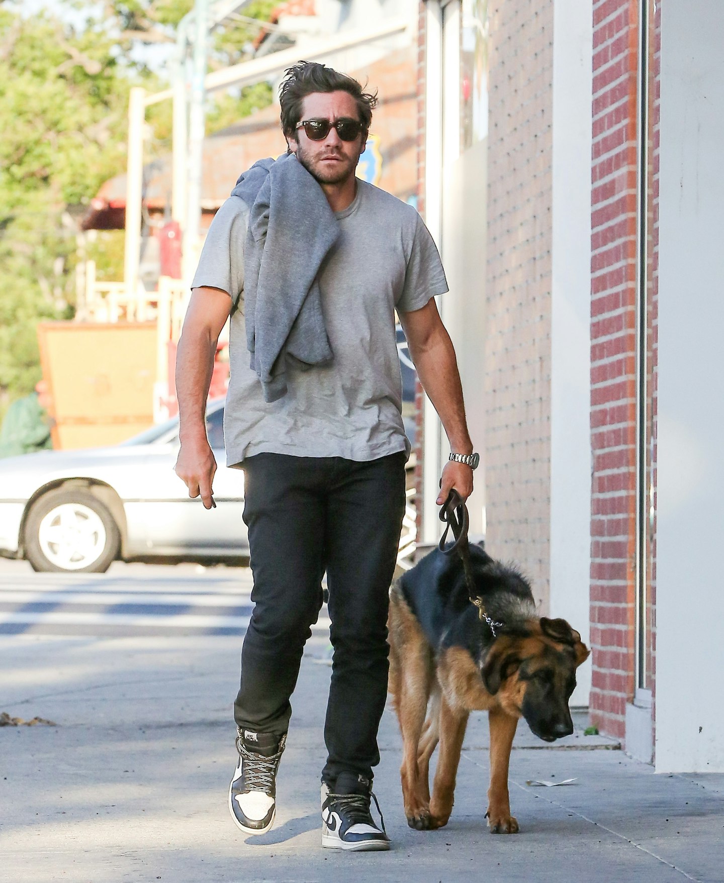 celebrity pets jake gyllenhaal
