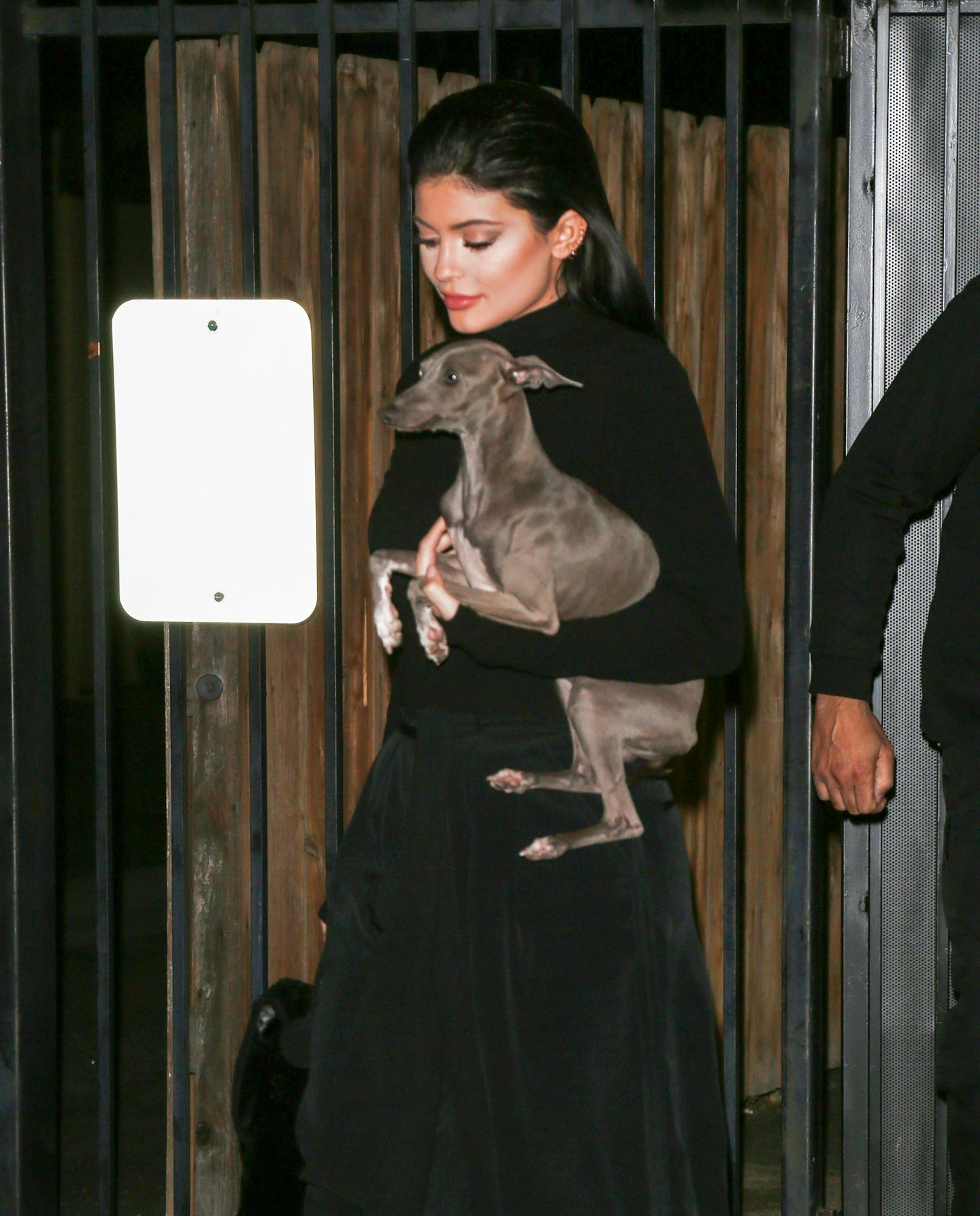 kylie jenner celebrity pets