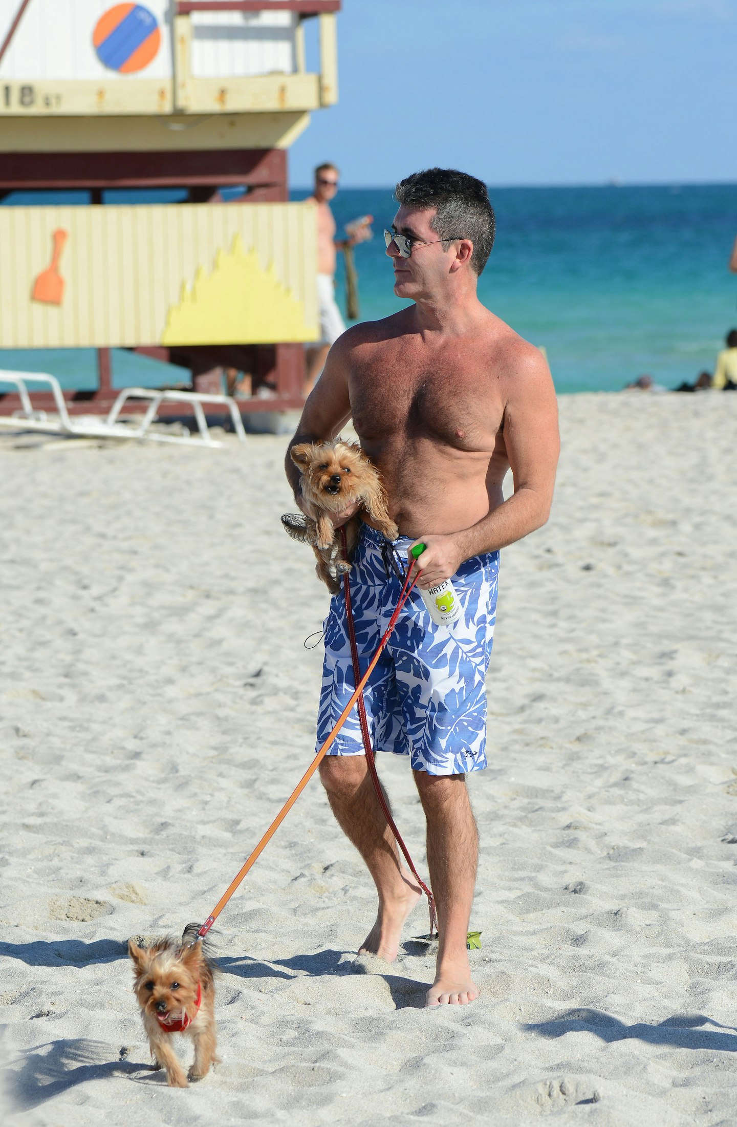 simon cowell celebrity pets dogs