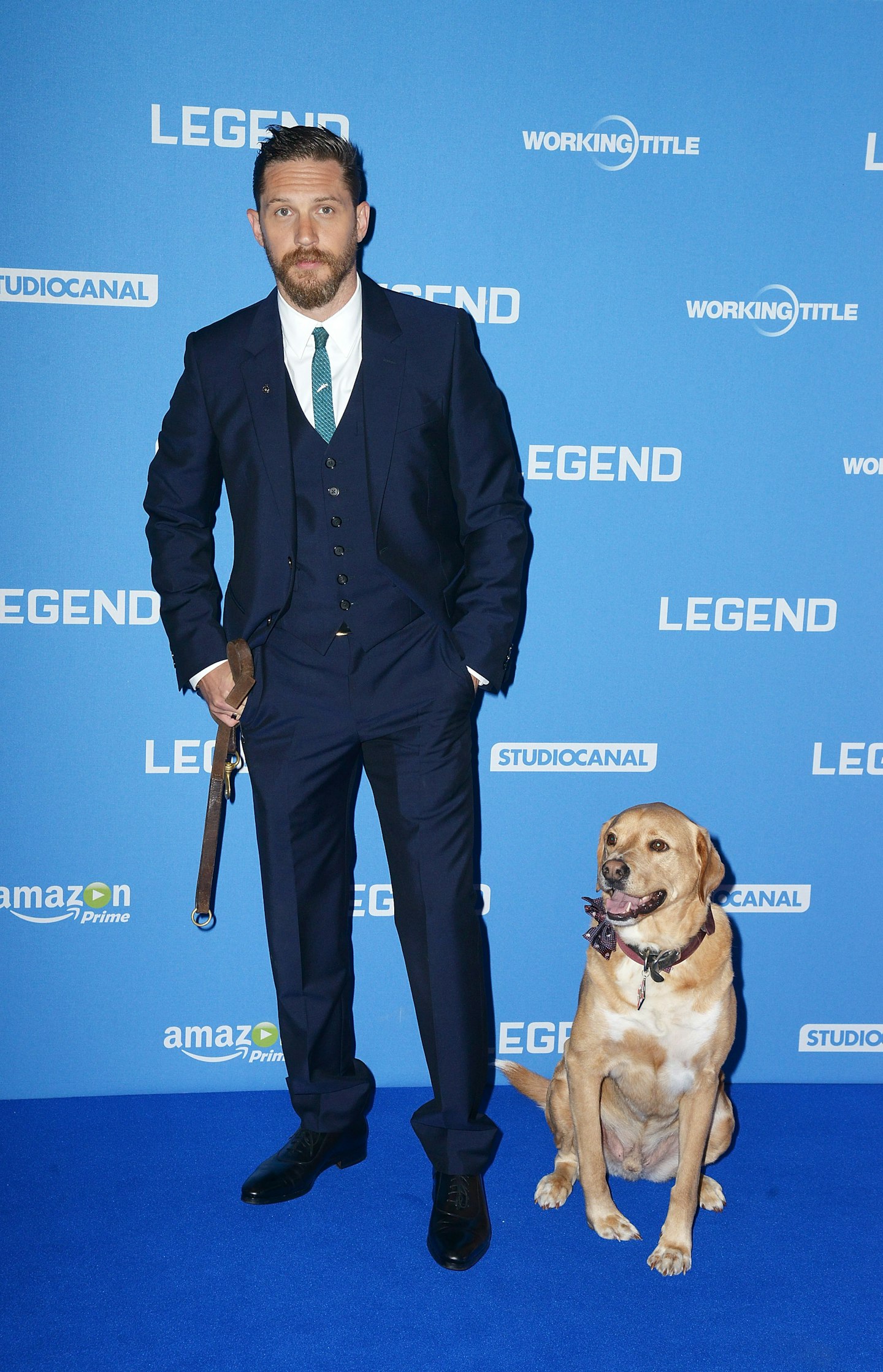 tom hardy dogs pets celebrity