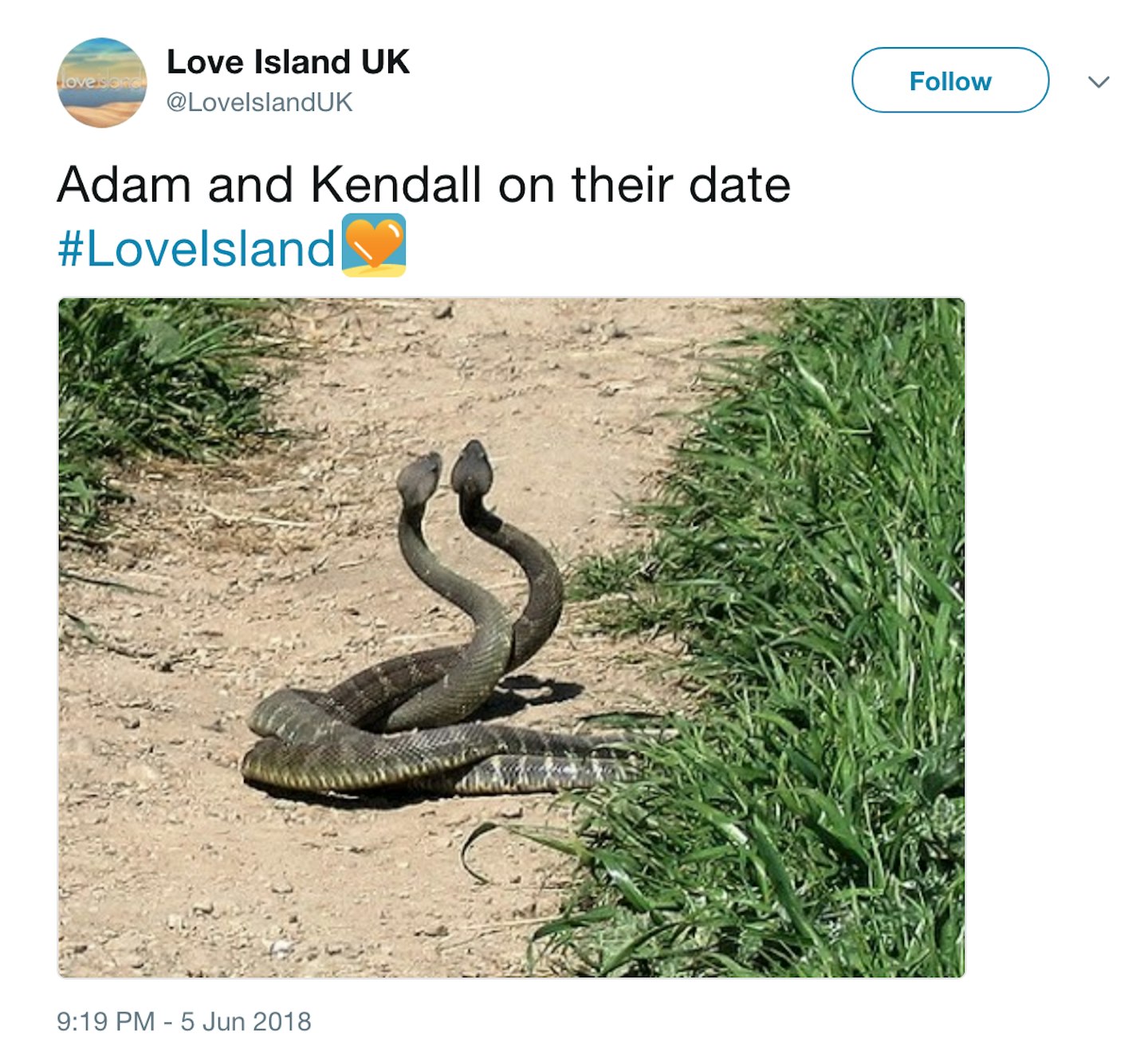 love-island