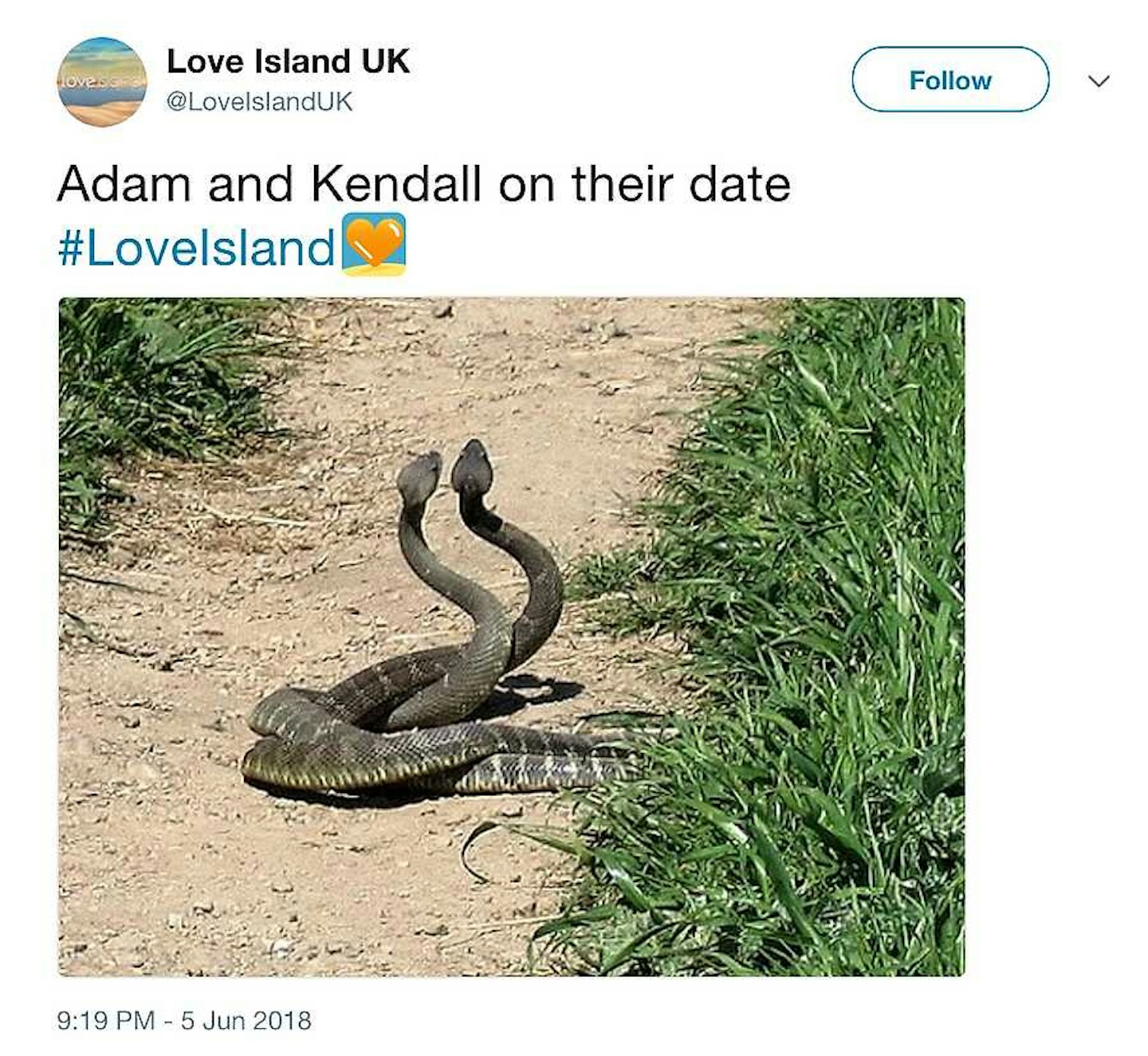 love-island