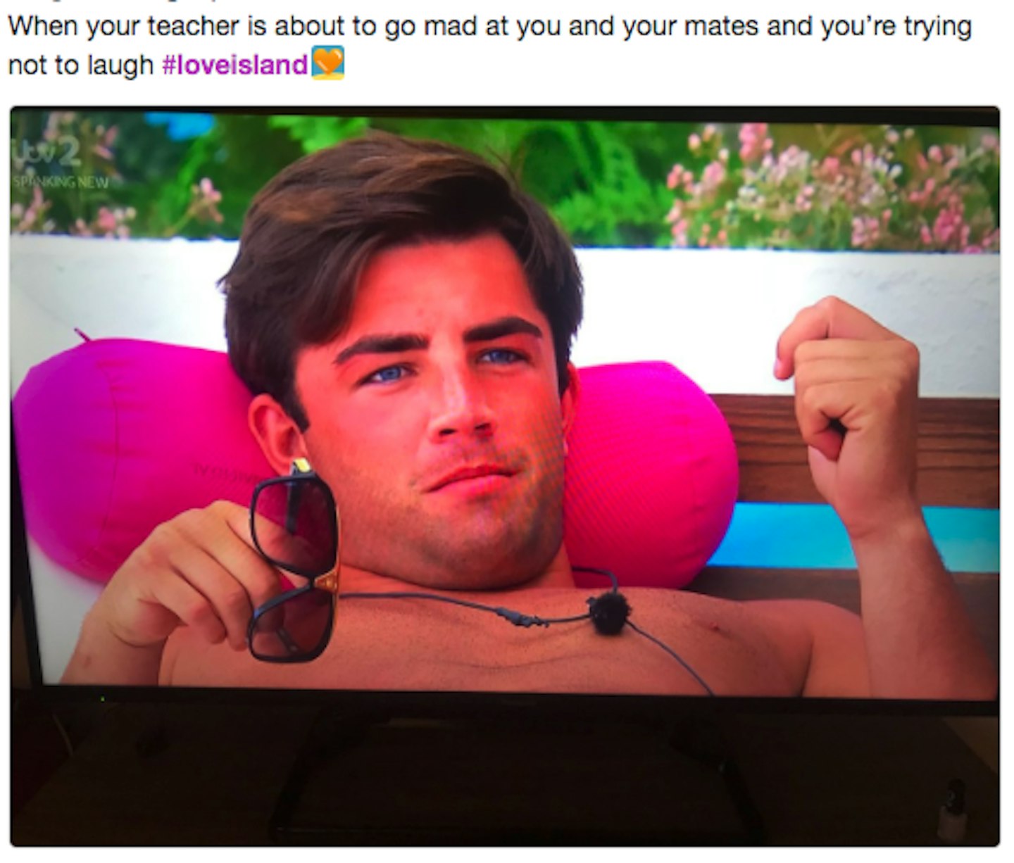 Grazia Love Island Memes