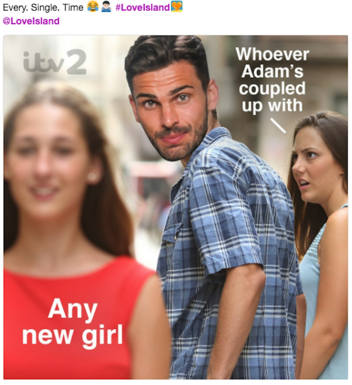 Grazia Love Island Memes