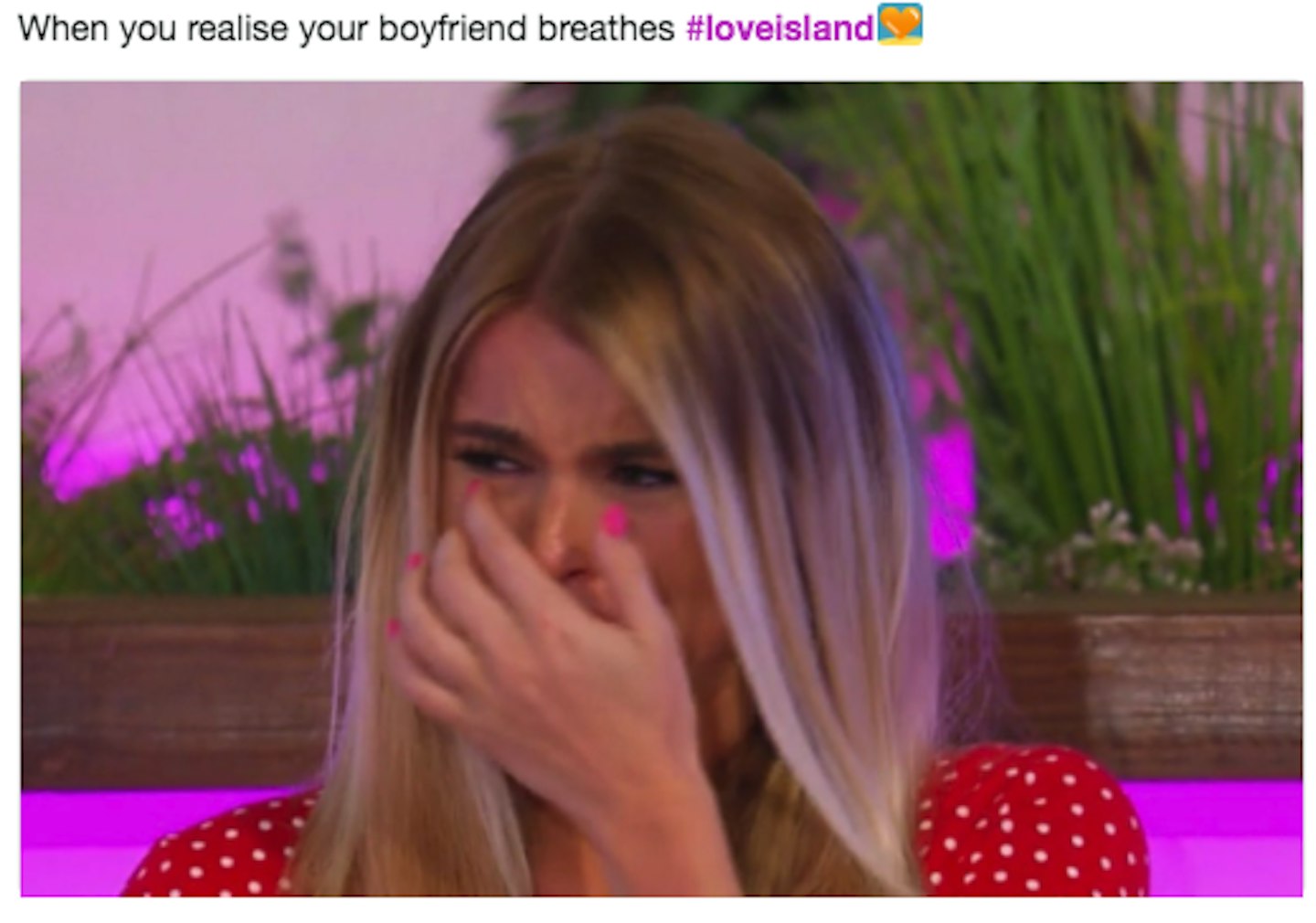 Grazia Love Island Memes