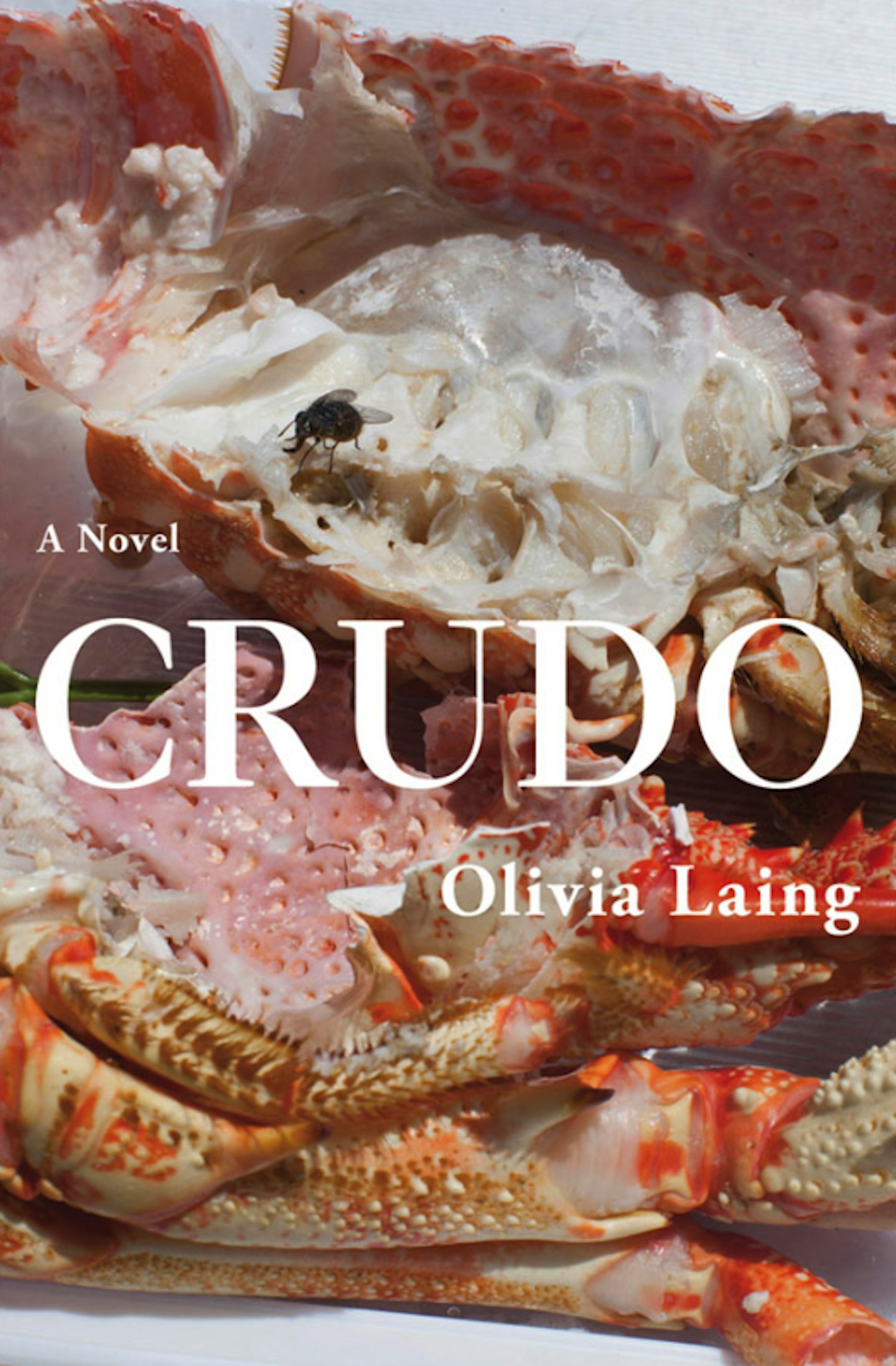 Crudo, Olivia Laing (Picador, £12.99