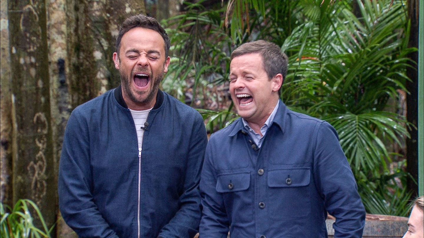 ant quits im a celebrity