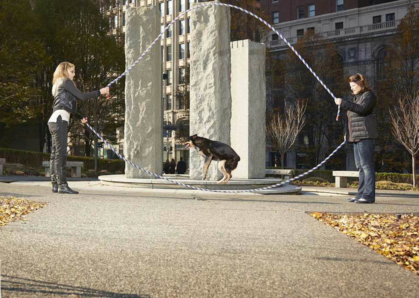 Most double-dutch style skips by a dog in one minute