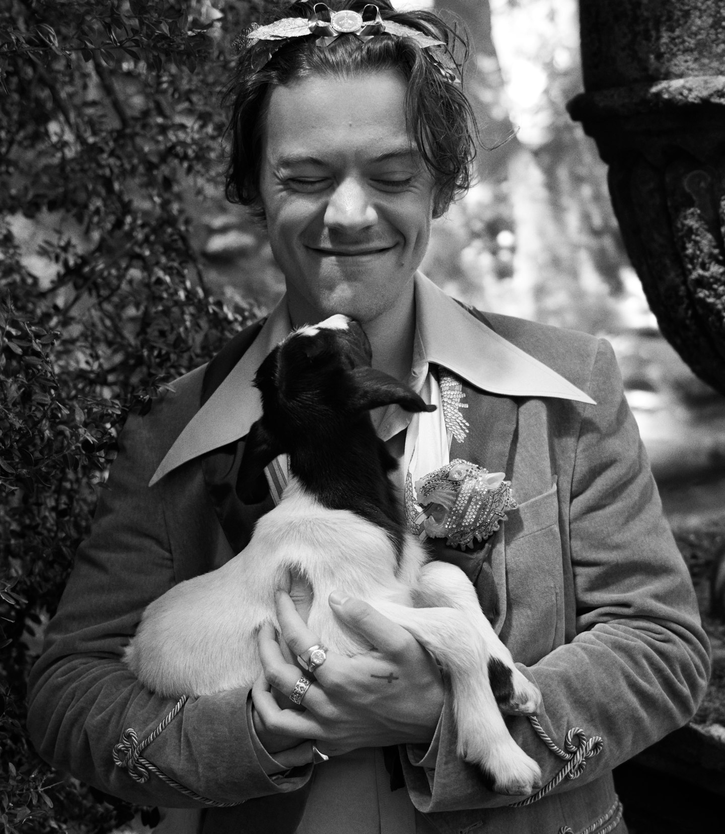 harry styles gucci cruise campaign