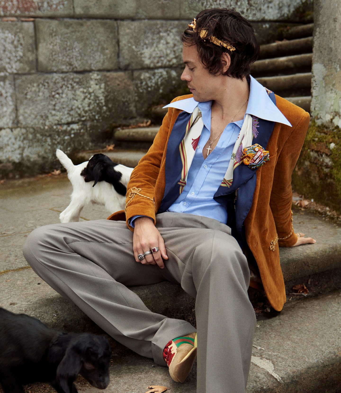 harry styles gucci cruise campaign