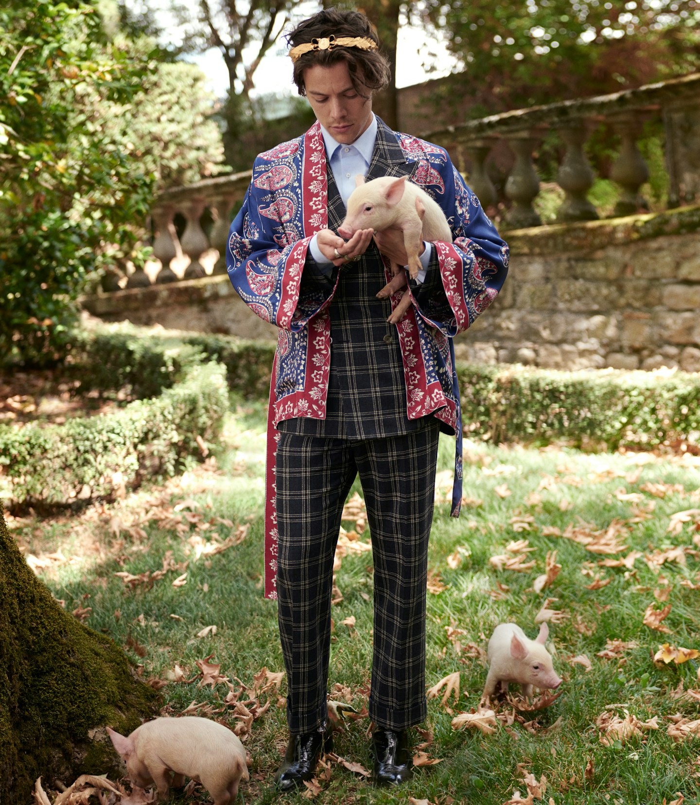 harry styles gucci cruise campaign
