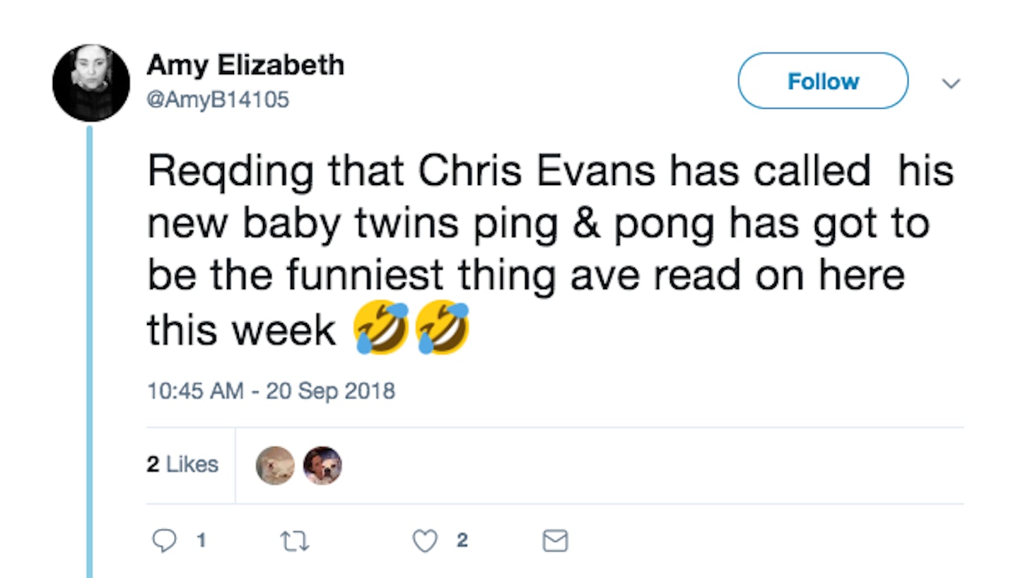 Chris Evans twins