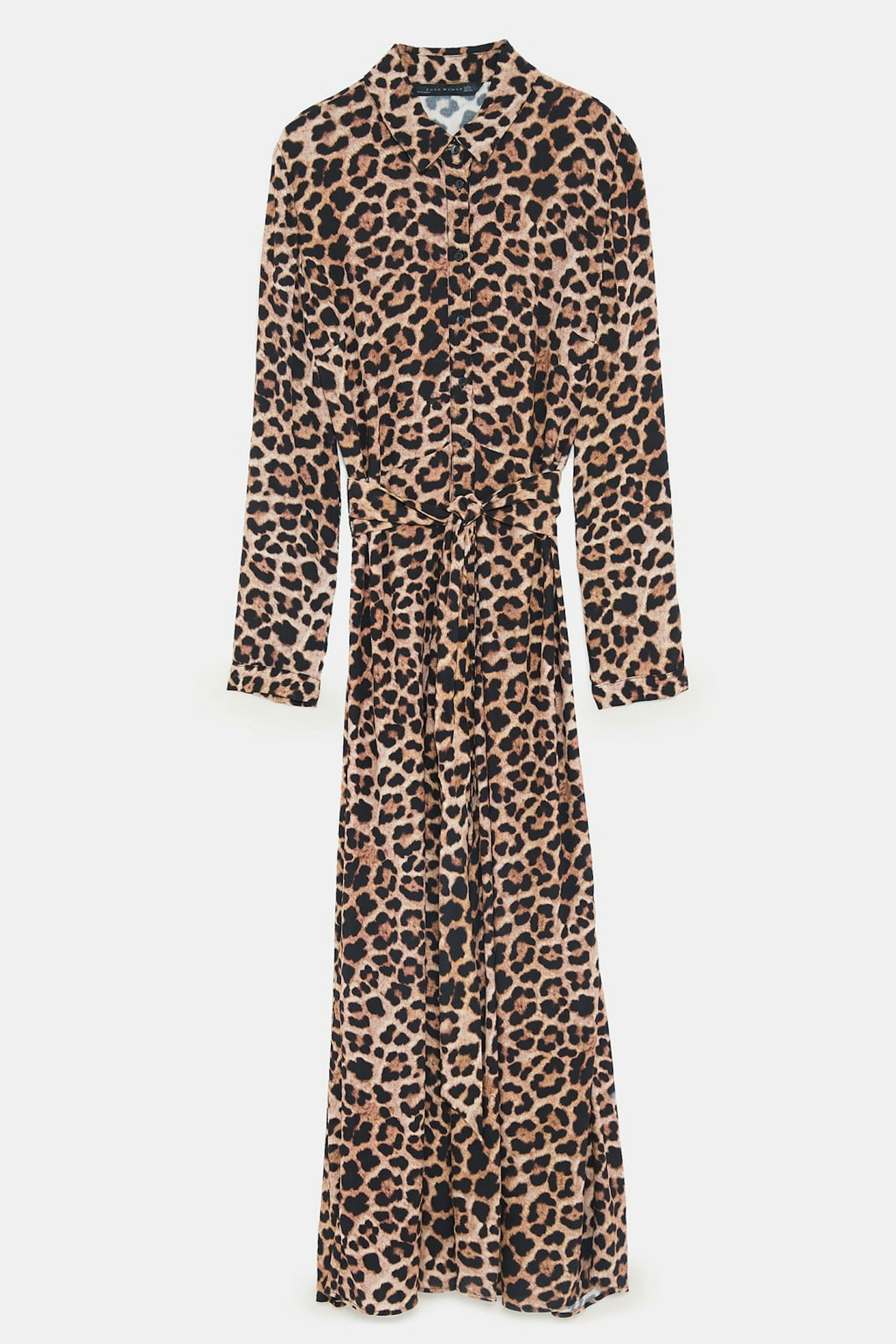 zara Long Leopard Print Dress